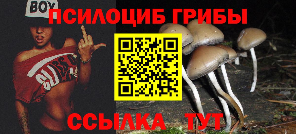 Ногинск  Галлюциногенные грибы Magic Shrooms  Вход с VPN 